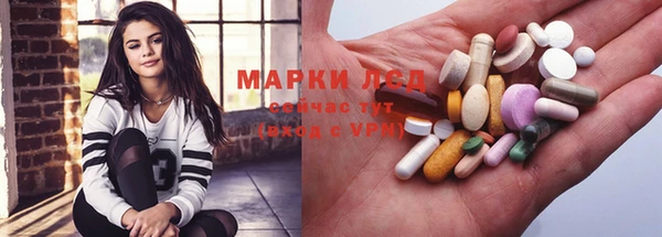 эйфоретик Богданович