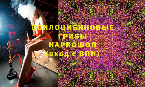 крисы Верея