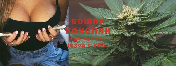 гидра Богородск