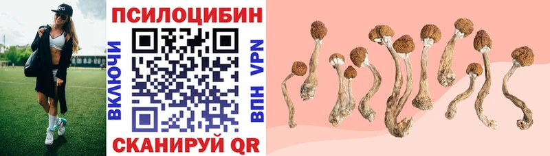 Галлюциногенные грибы прущие грибы  где купить наркоту  Елабуга 